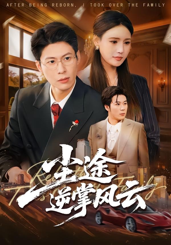 尘途逆掌风云封面图