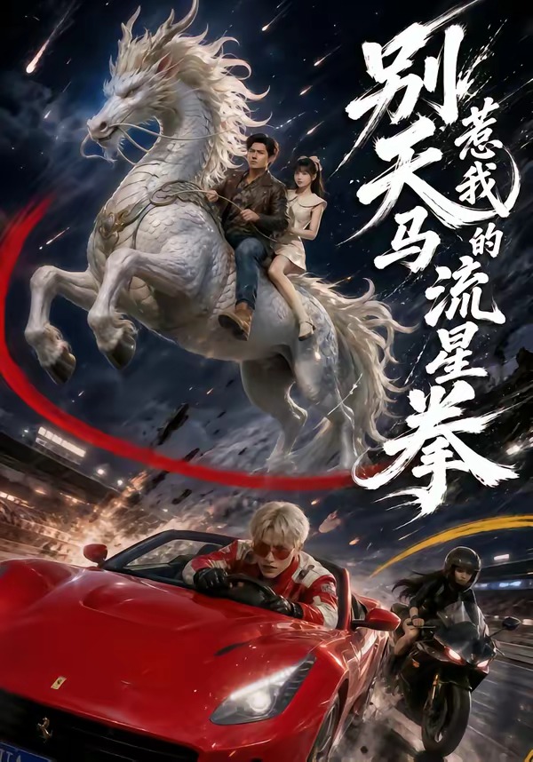别惹我的天马流星拳封面图