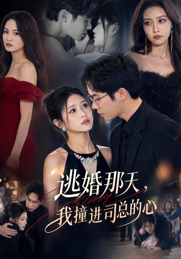 逃婚那天，我撞进司总的心封面图