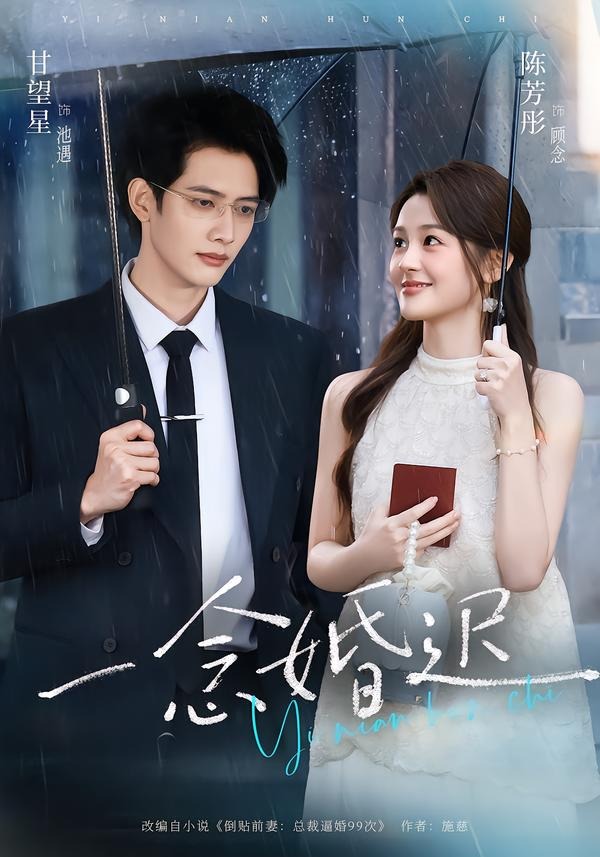 一念婚迟封面图