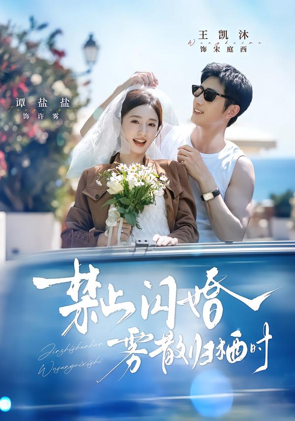 禁止闪婚，雾散归栖时封面图