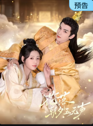 花落朝夕玉无声封面图