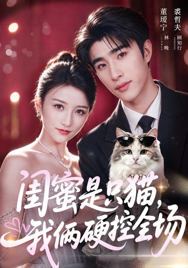 闺蜜是只猫，我俩硬控全场封面图